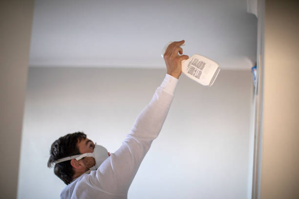 Best Basement Mold Remediation in Vermilion, OH